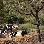 Bauernhof Barone Gr Macri Modi