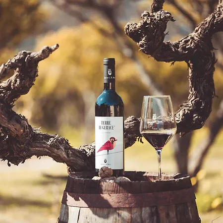 Barone Gr Macri Modi غيراتشه