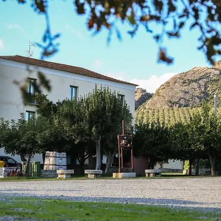 Barone Gr Macrì Modi