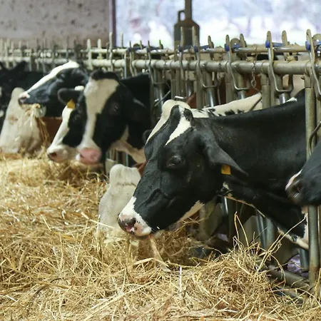 مزرعة للإقامة Barone Gr Macri Modi *