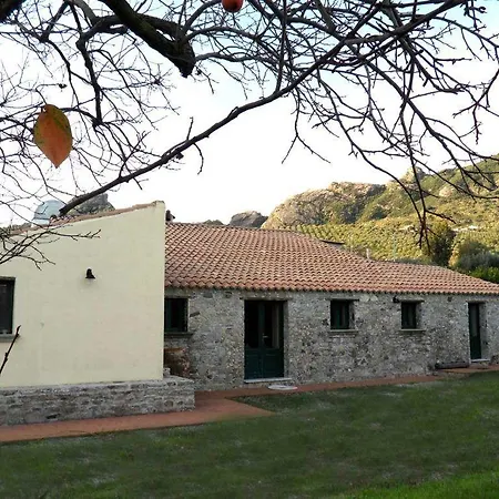 Barone Gr Macri Modi *