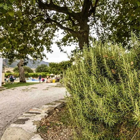 Barone Gr Macri Modi 게라스