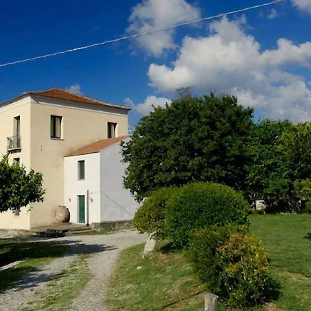 Barone Gr Macri Modi