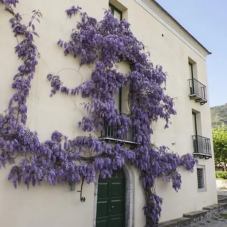 Barone Gr Macri Modi