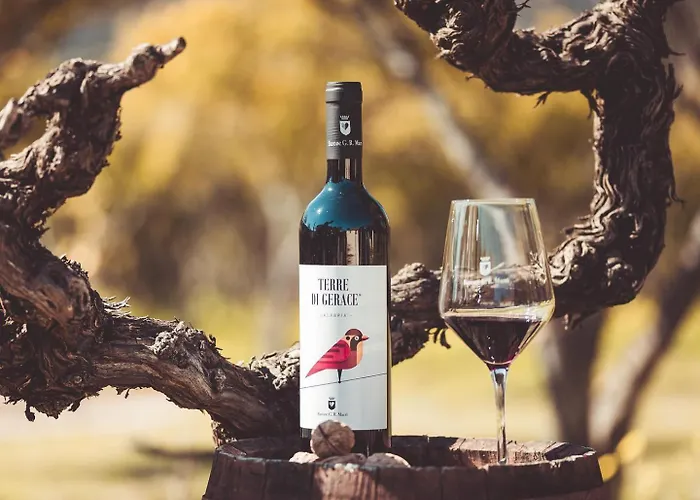 Barone Gr Macri Modi 杰拉切