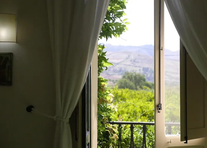 Barone Gr Macri Modi 杰拉切