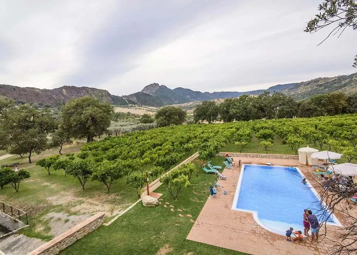 Barone Gr Macri Modi *