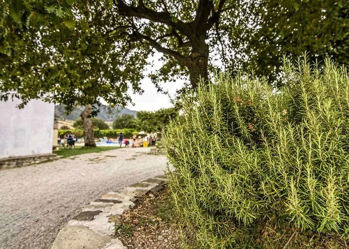 Barone Gr Macri Modi Gerace