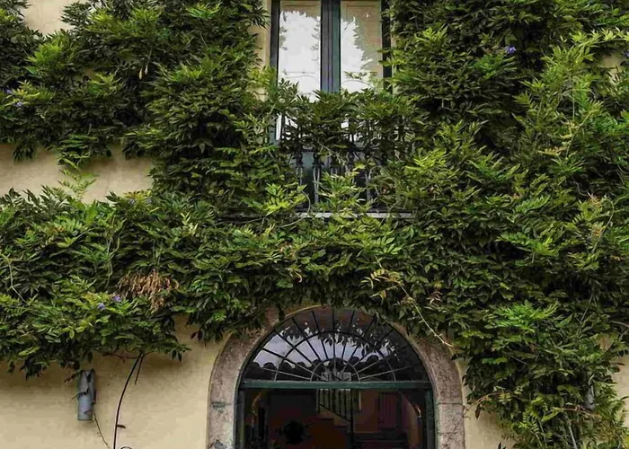 农家乐 Barone Gr Macri Modi