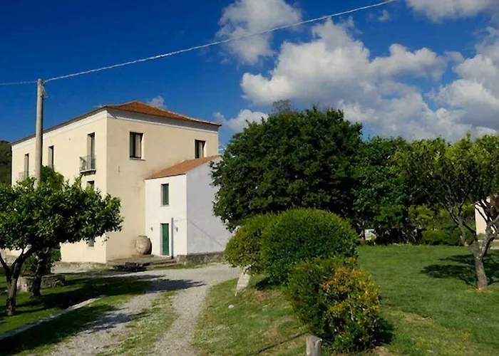 Barone Gr Macri Modi