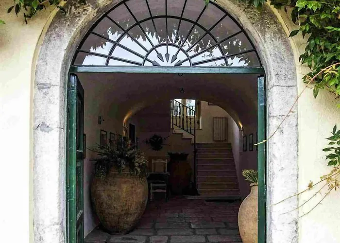 Barone Gr Macri Modi * 杰拉切