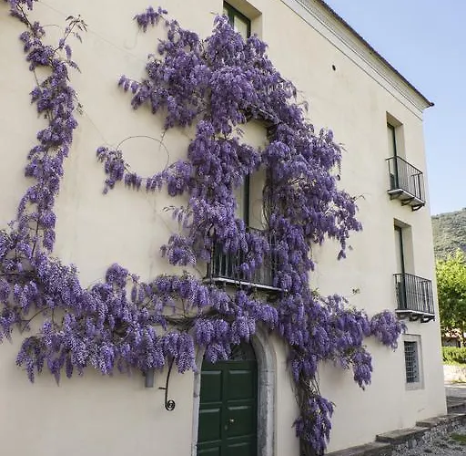 Barone Gr Macri Modi